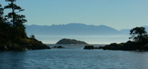 Become a PowerShift Fellow! 