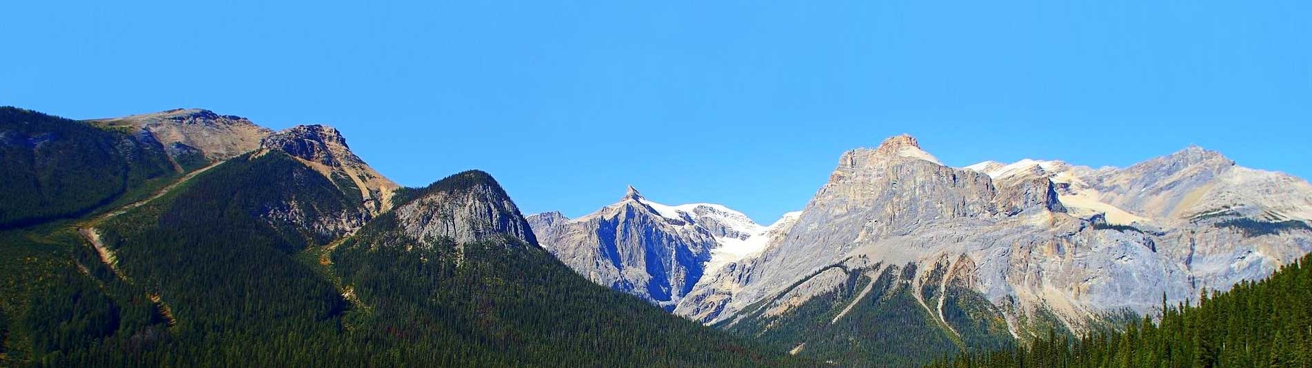 DONATE TO THE CANADIAN YOUTH CLIMATE COALITION