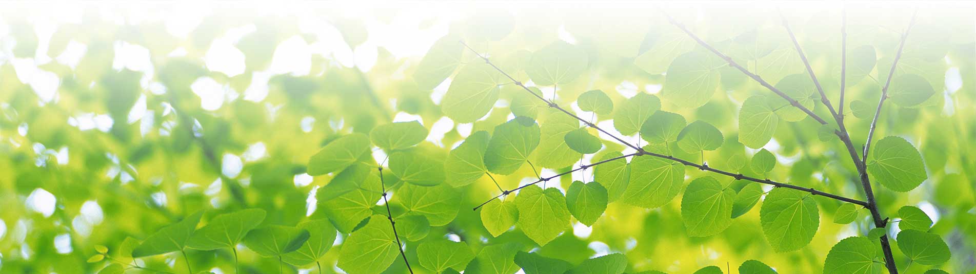 THE GLOVES ARE OFF IN THE YOUTH CLIMATE CHANGE FIGHT